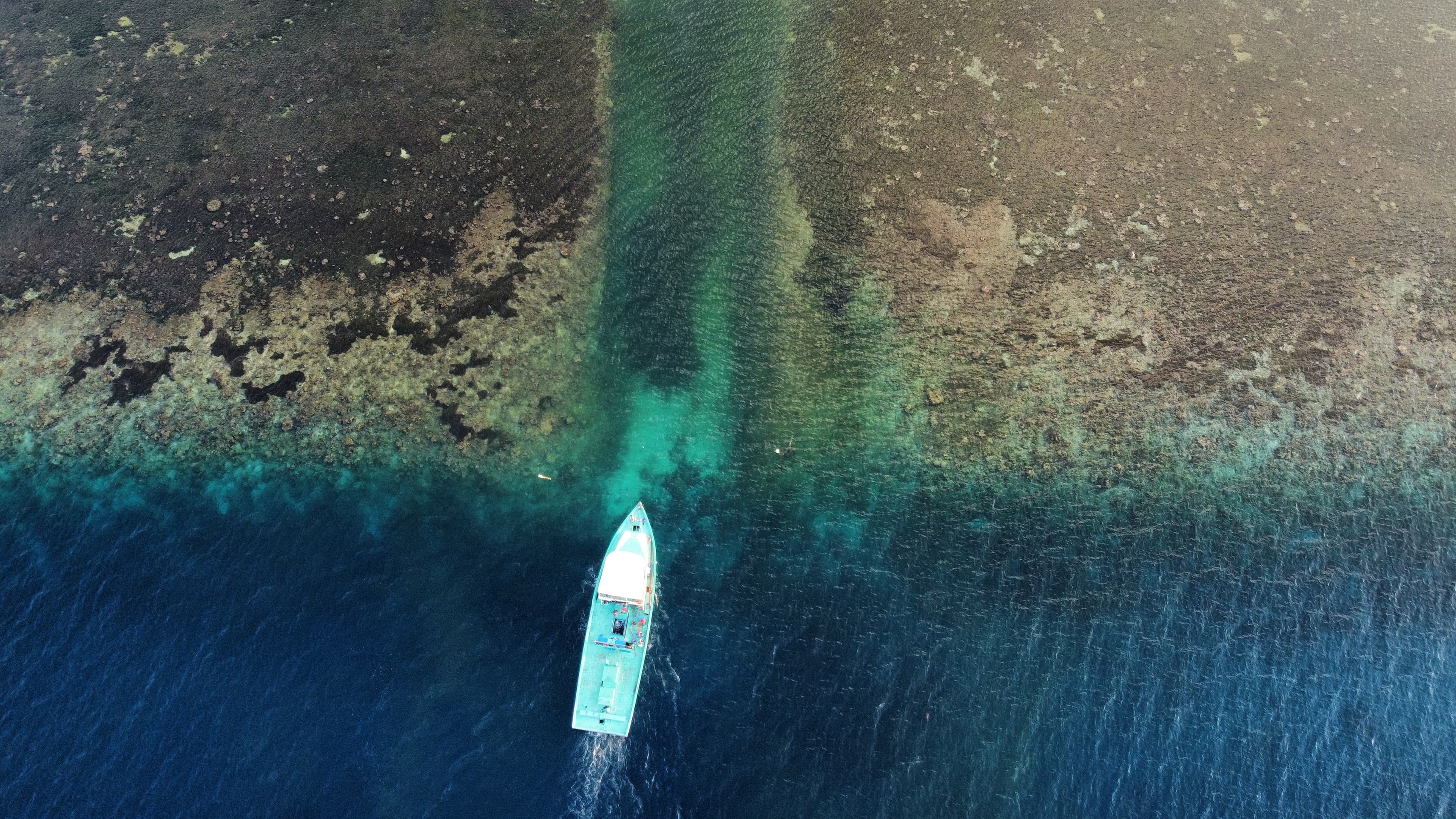 Getting to Vaadhoo and Exploring Paradise