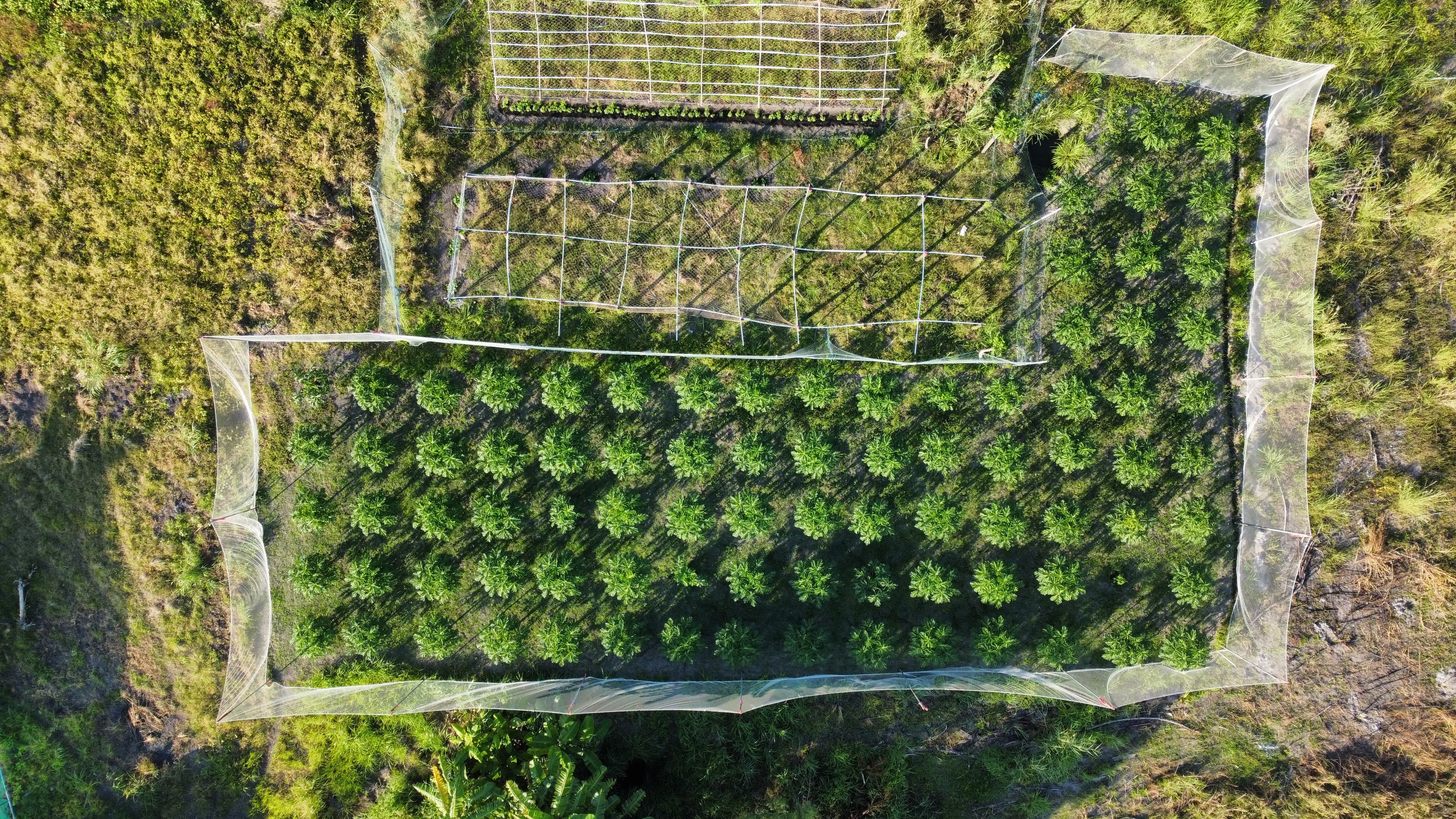 Agriculture