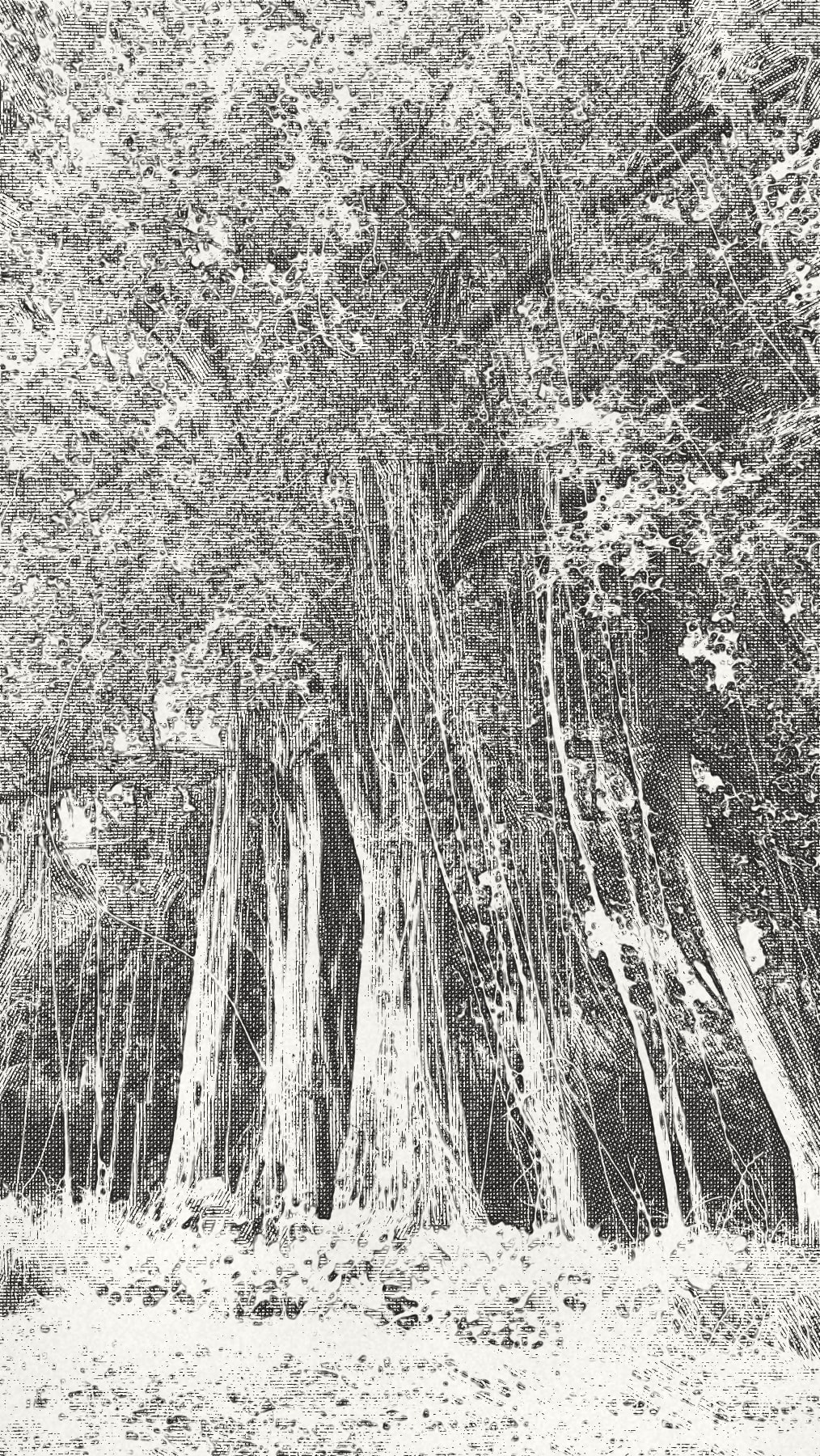 Nikagas (Banyan Tree) and Surrounding Area